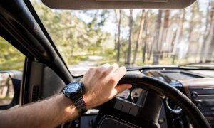 Uomo al volante su una strada alberata