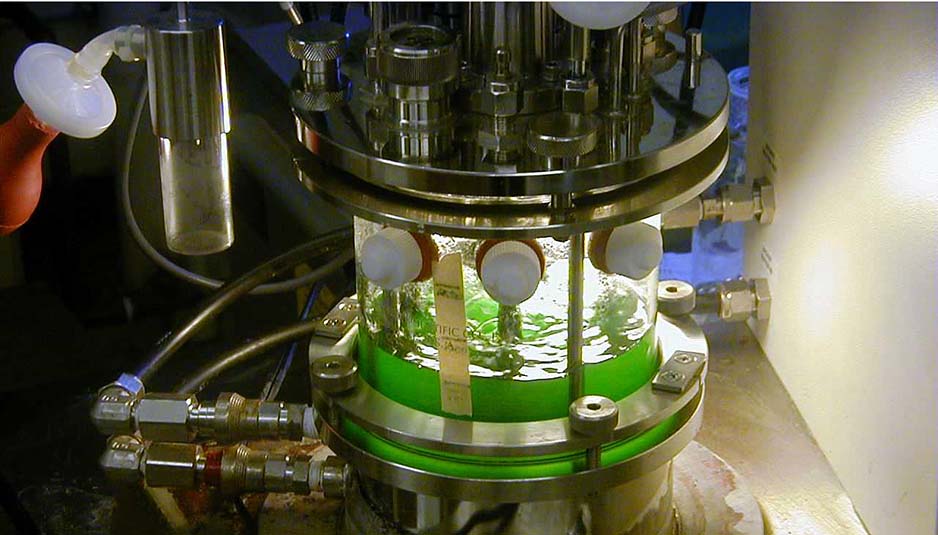 algae bioreactor, algae cultivation, Close-Up Engineering