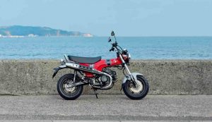 Illustrazione dell'Honda ST125 Dax (Honda.it FOTO)